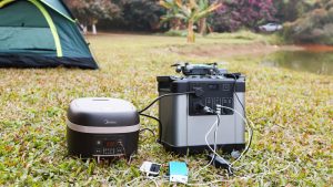 公司的多樣性——尺寸和類型的多樣性。這是鋰電池電源的另一個最有利的優(yōu)勢-鋰離子電站