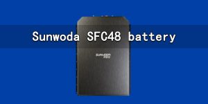 欣旺達(dá)SFC48電池