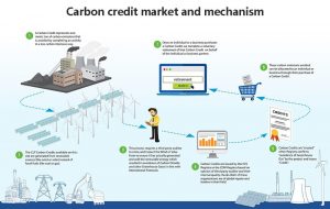 碳信用市場(chǎng)和機(jī)制