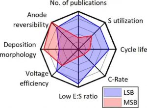 最先進的LSB和鎂硫電池-電池特性和性能參數。