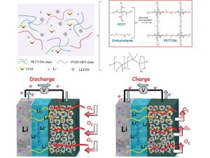 PVdF-HFP凝膠電解質添加劑